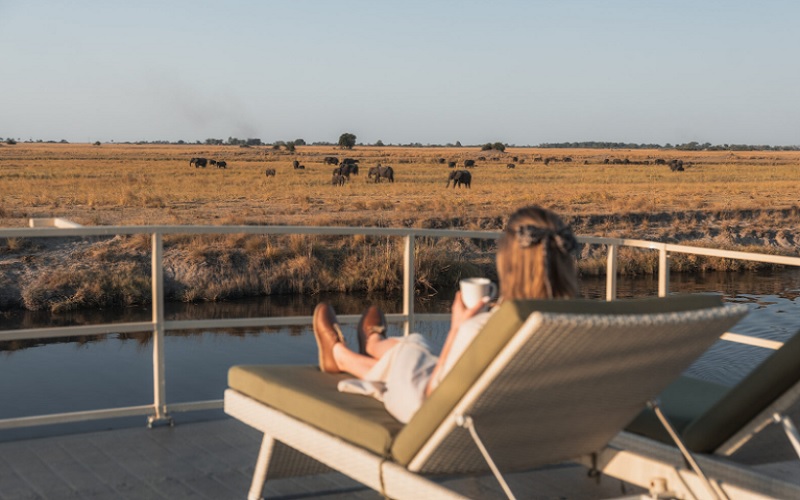 10 Day Chobe, Delta & Kalahari Safari Feline Lodges